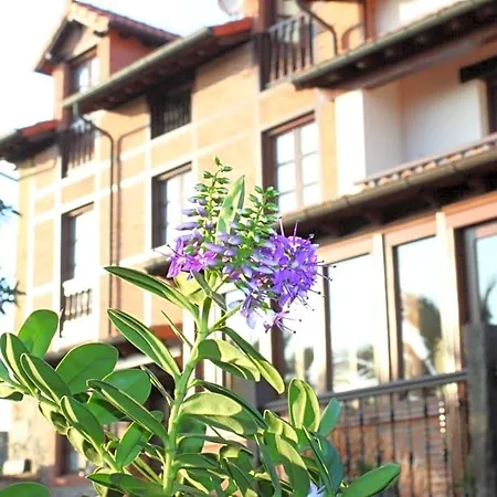 Guest house La De Salmon Santillana del Mar